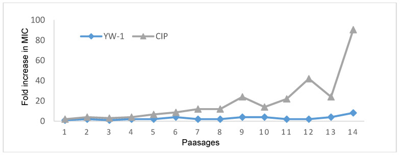 Figure 7