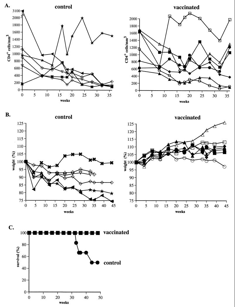 FIG. 11