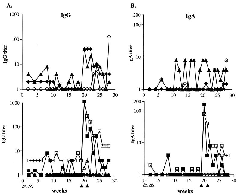 FIG. 6