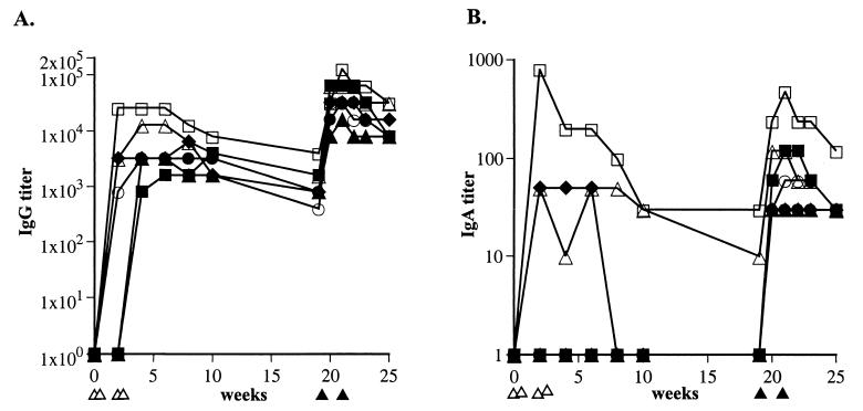 FIG. 4