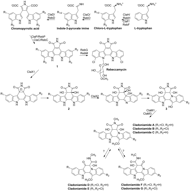 Figure 4