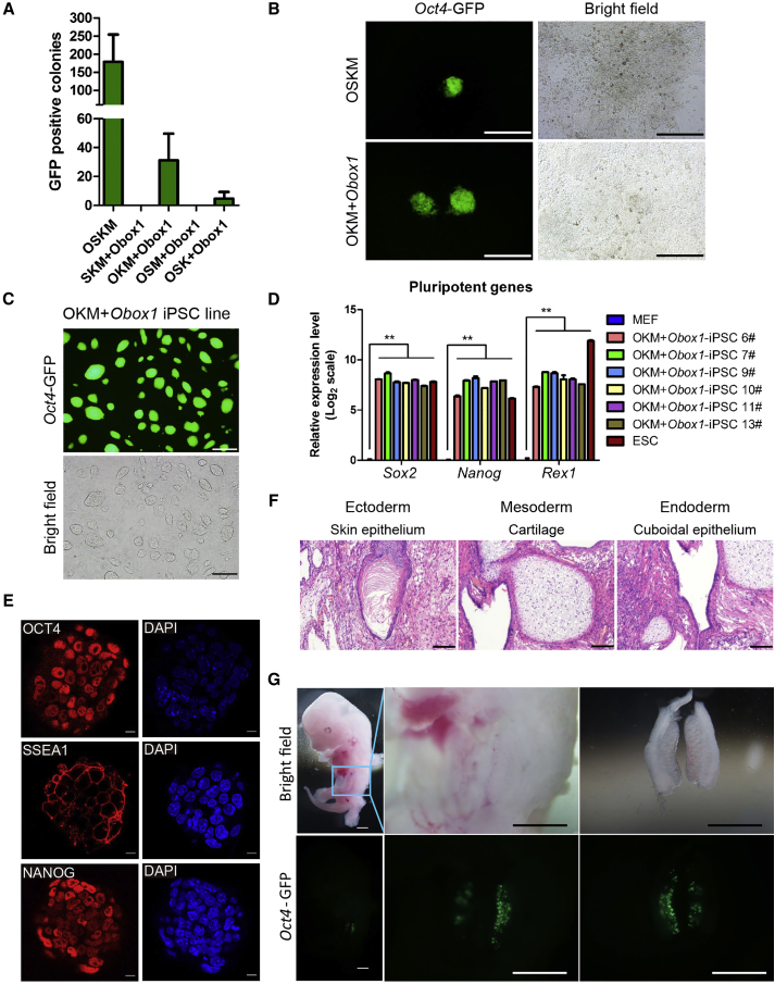 Figure 2