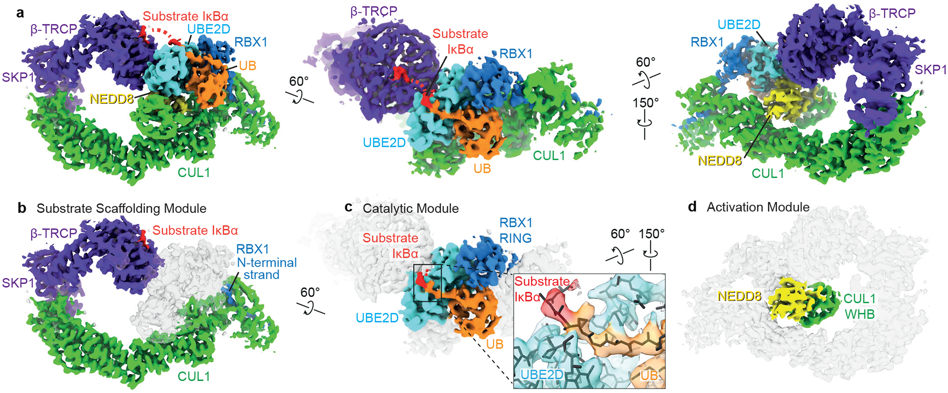 Figure 2 |