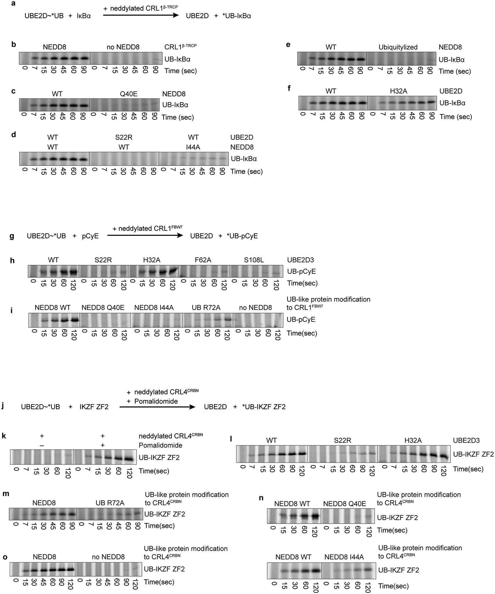 Extended Data Figure 8 |