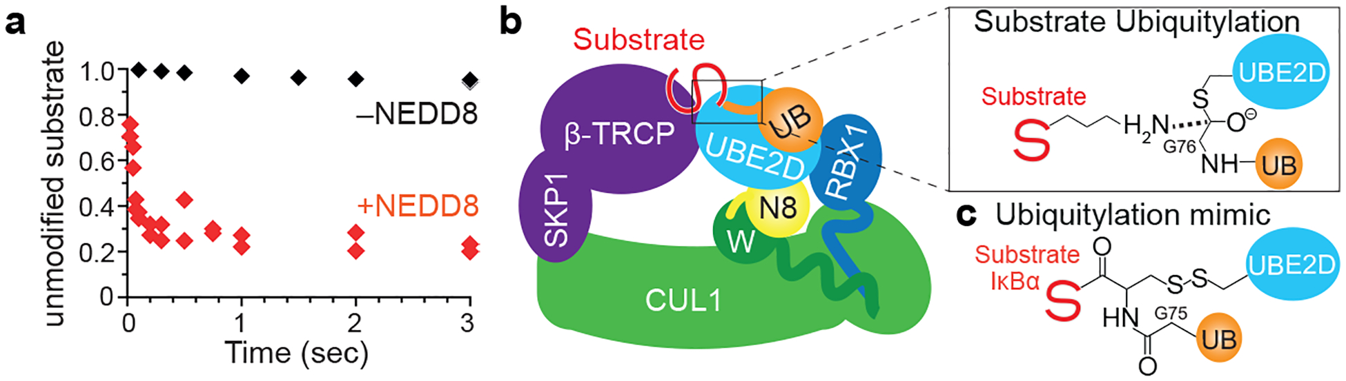 Figure 1 |