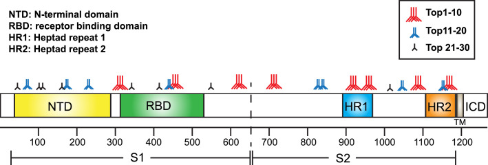 Fig. 5