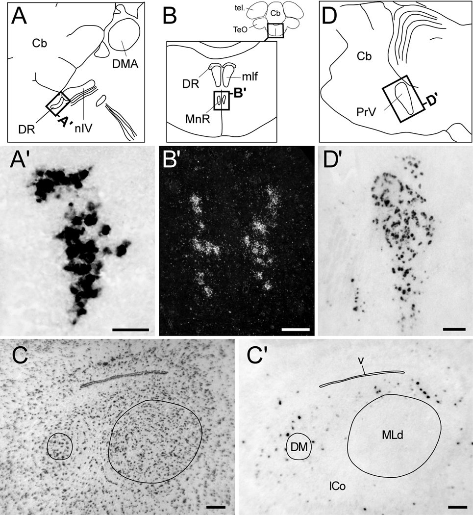 Figure 10