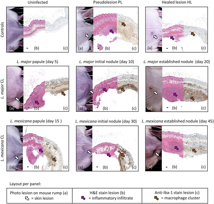 FIG 6