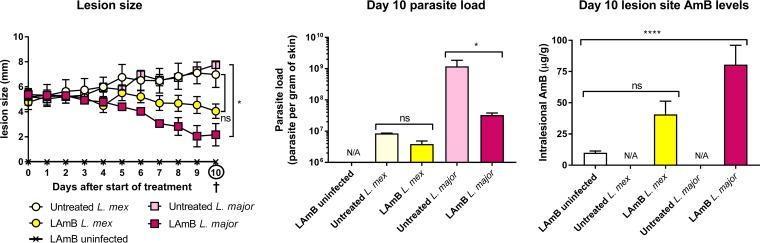 FIG 8