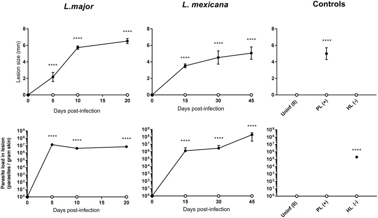 FIG 3