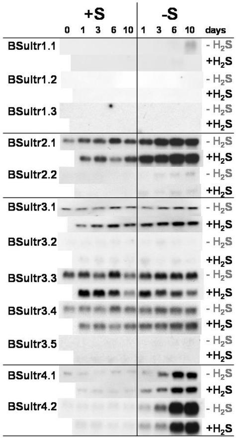 Figure 6.