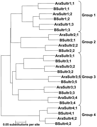 Figure 4.