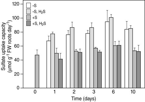 Figure 3.