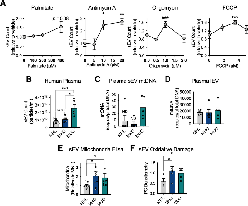 Figure 6: