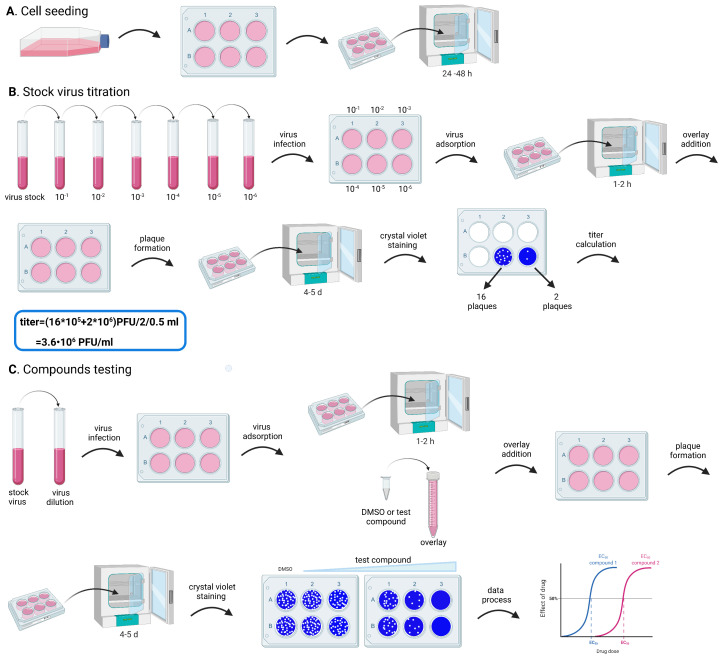 Figure 2.