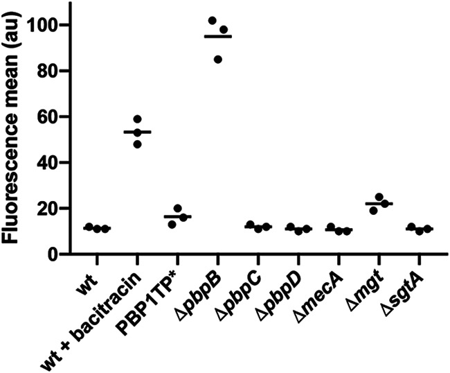 FIG 4