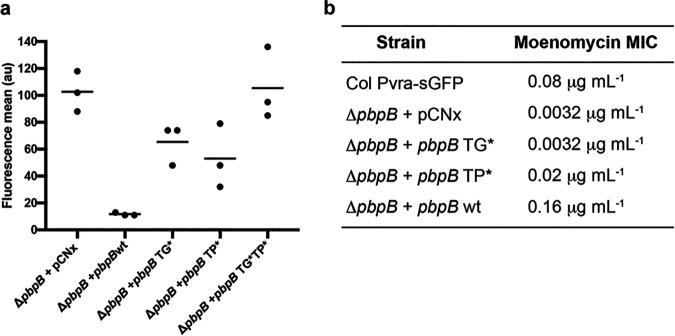 FIG 6