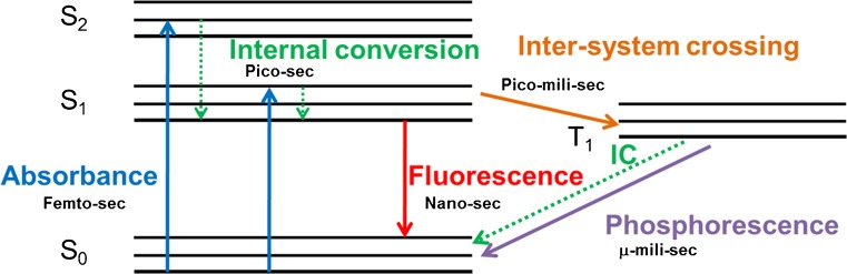 Fig. 2