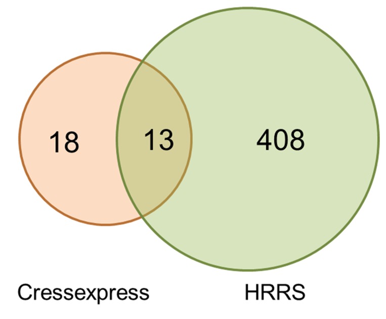 Fig 10