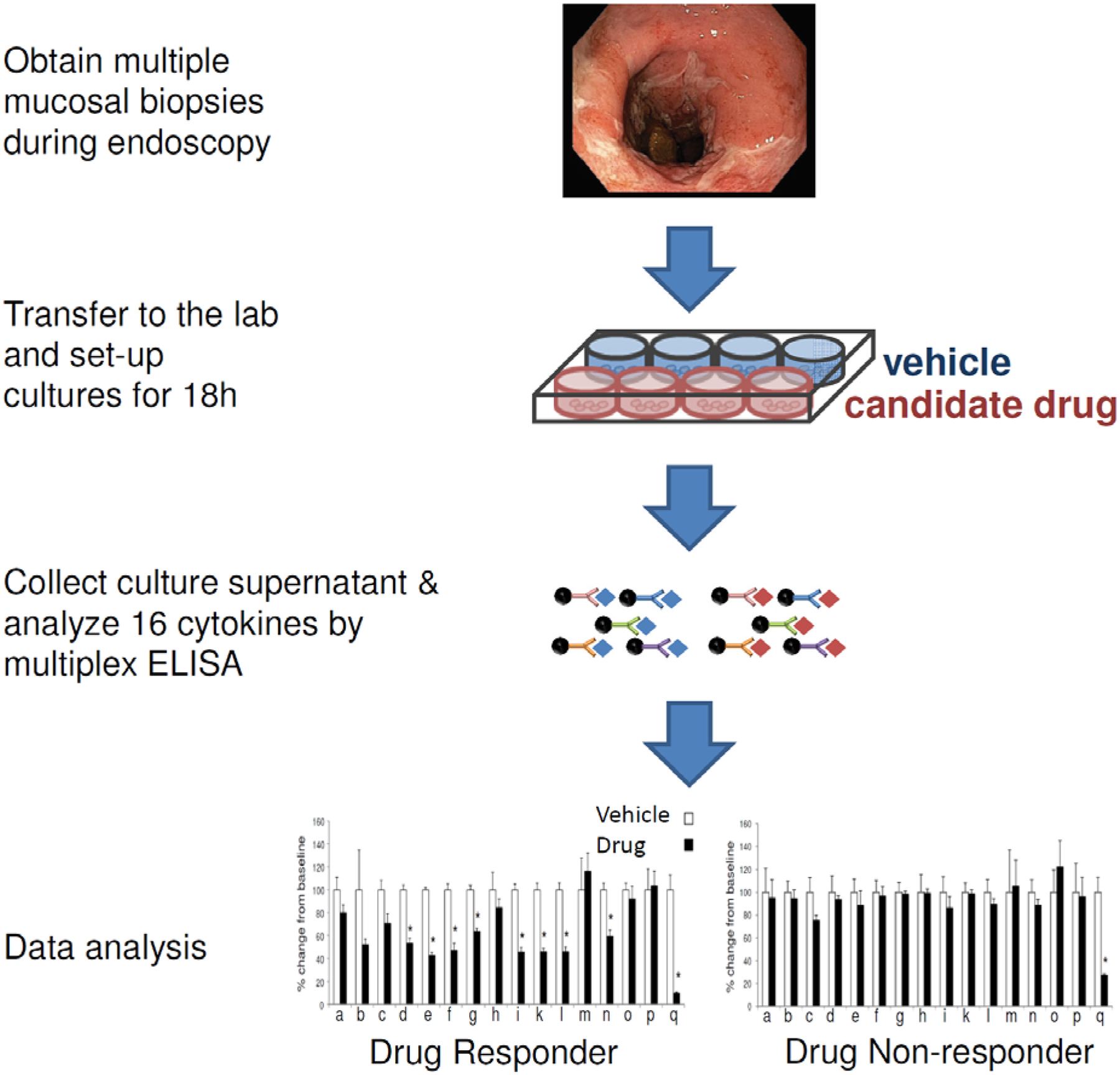 Figure 1: