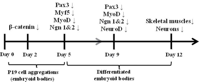 FIG. 7.