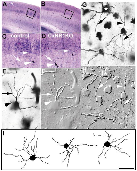 FIG. 7