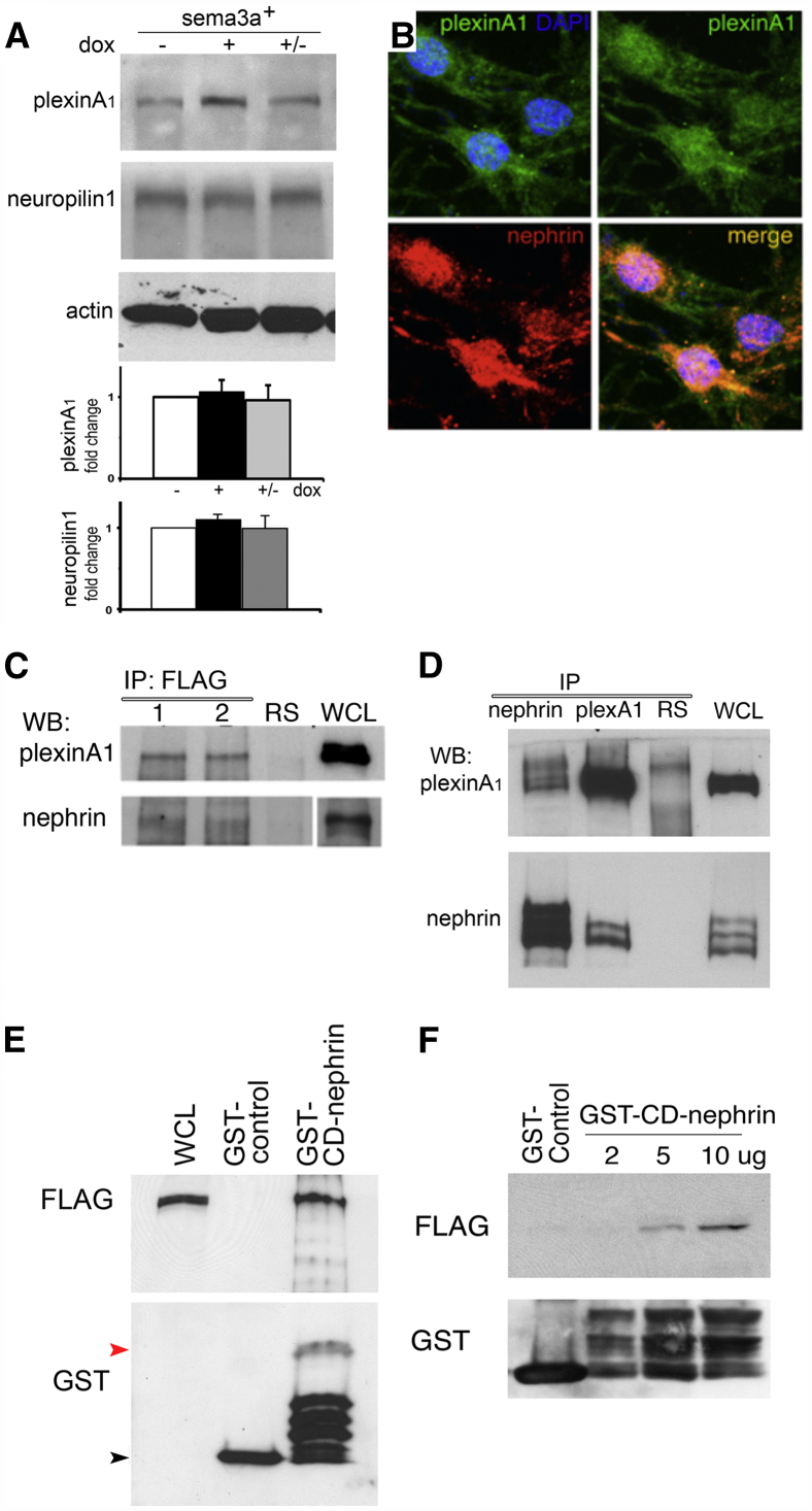 Figure 6