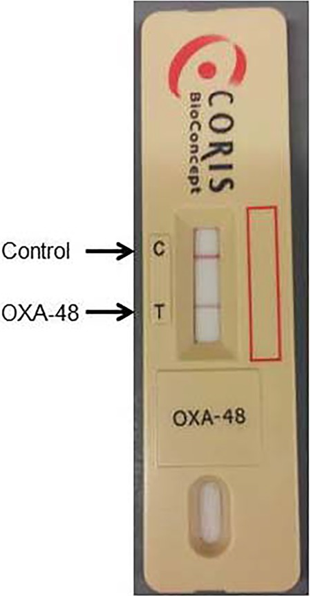 FIG 1