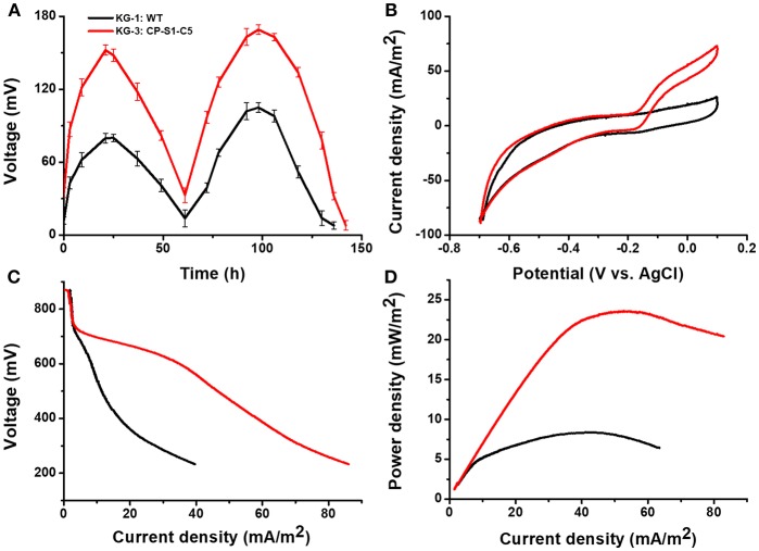 Figure 5