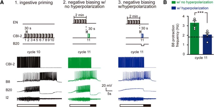 Figure 7.