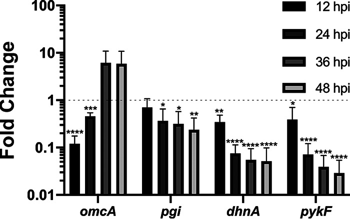 FIG 6