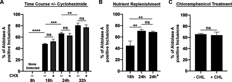 FIG 3