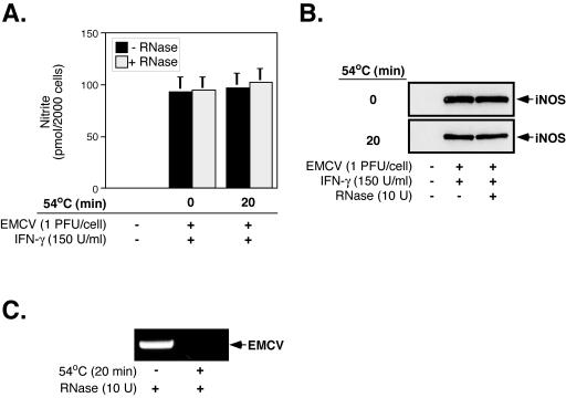 FIG. 8.