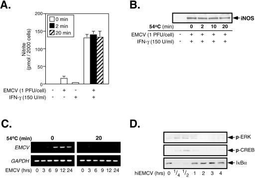 FIG. 7.