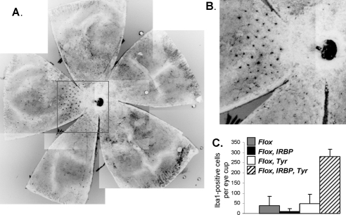 Figure 7.