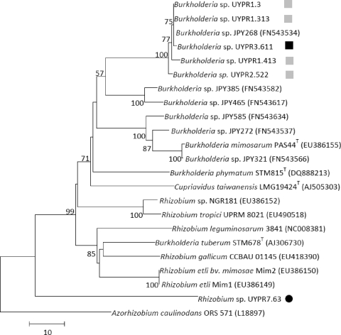 Fig 5