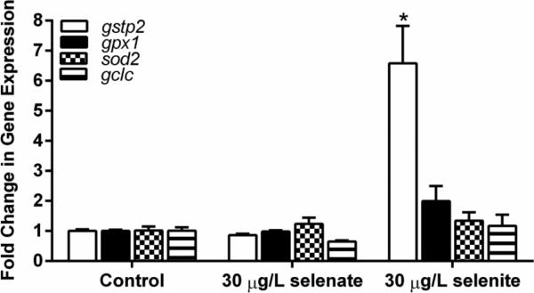 Fig. 5