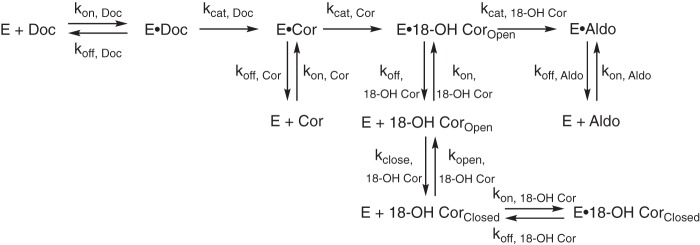 Figure 11.