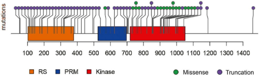 Fig. 2 –