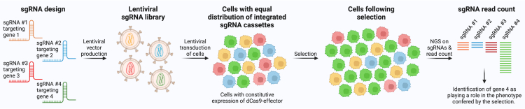 Figure 4