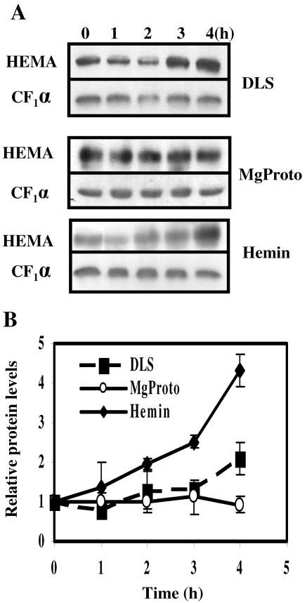 FIG. 5.