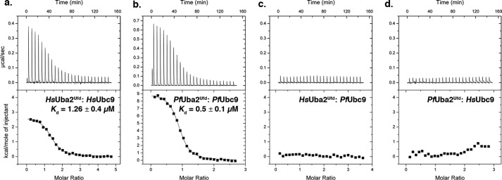 FIGURE 4.