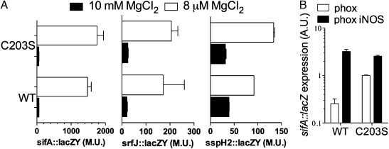 Fig. 4.