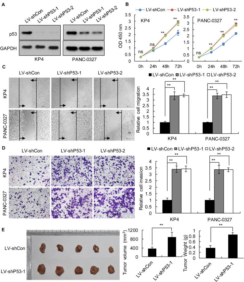 FIGURE 3