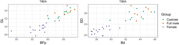 Fig. 16