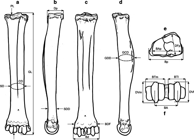 Fig. 5