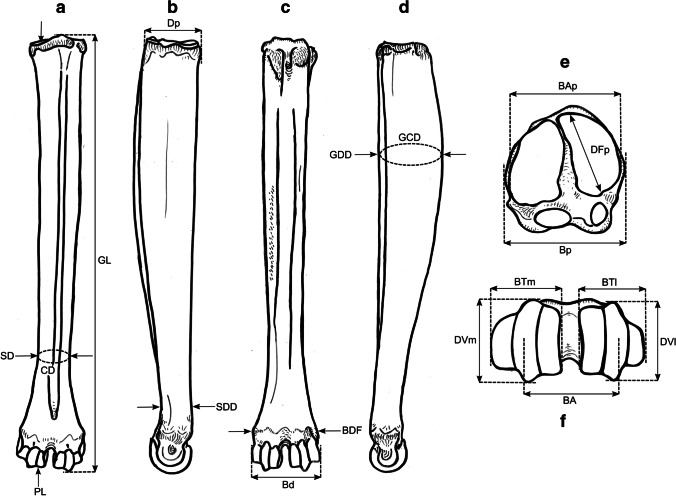 Fig. 8