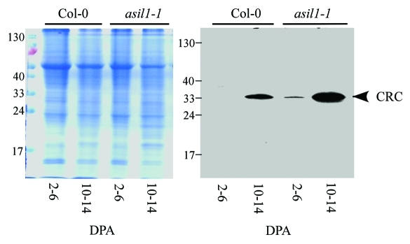 Figure 2.