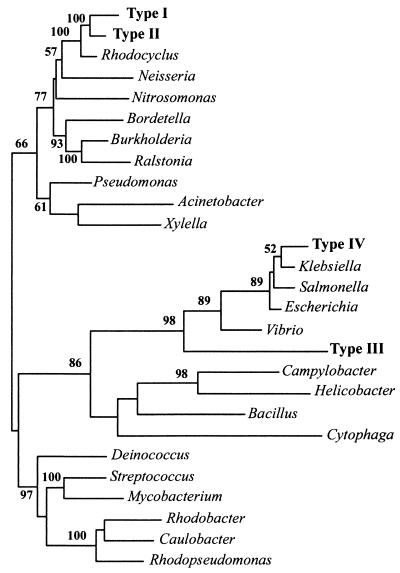 FIG. 1.