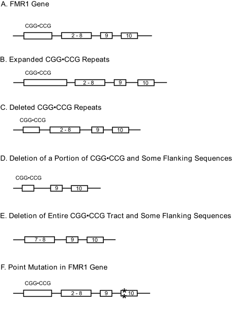 FIGURE 1.